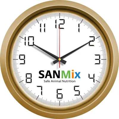 V30-742 Metallised Wall Clock